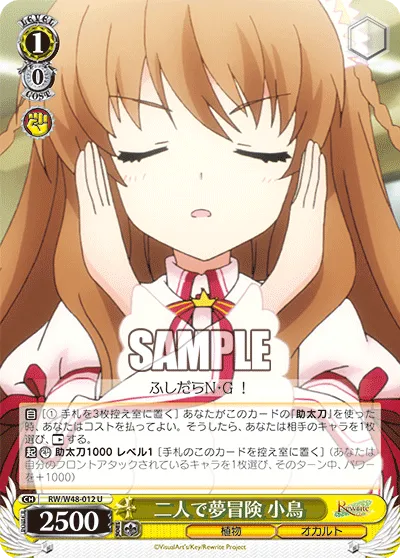 二人で夢冒険 小鳥