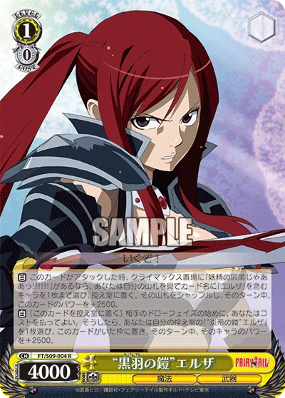 “黒羽の鎧”エルザ