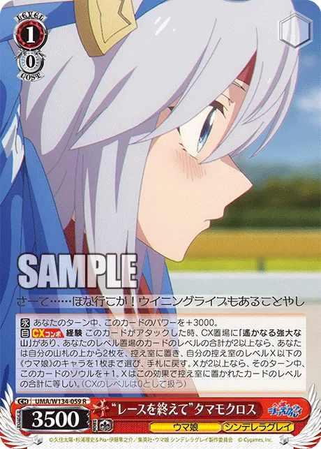 “レースを終えて”タマモクロス
