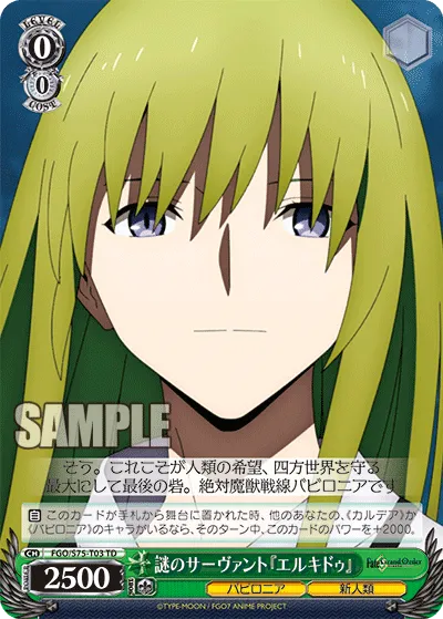 謎のサーヴァント 『エルキドゥ』