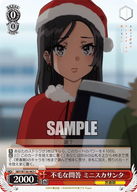 不毛な問答 ミニスカサンタ