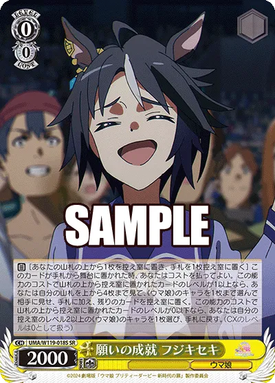 願いの成就 フジキセキ