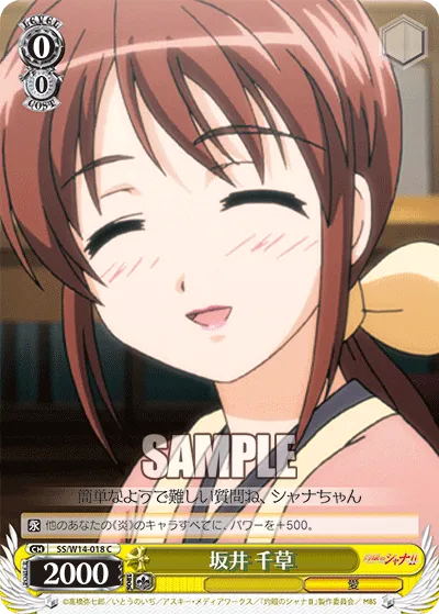 坂井 千草