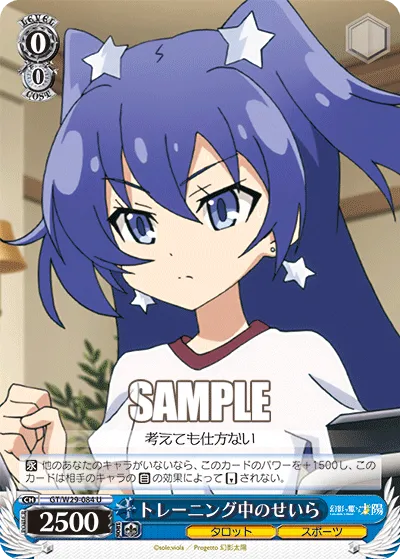 トレーニング中のせいら