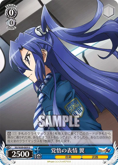 覚悟の表情 翼