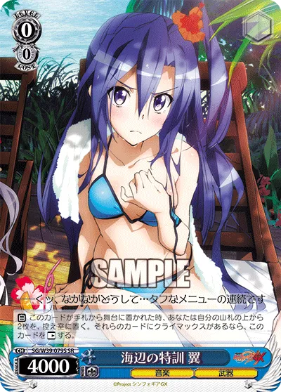 海辺の特訓 翼
