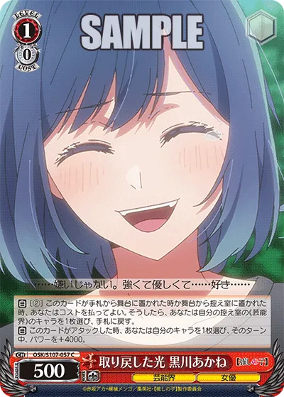 取り戻した光 黒川あかね