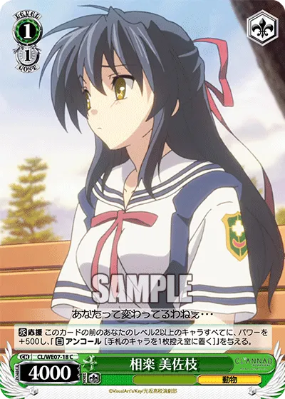 相楽 美佐枝