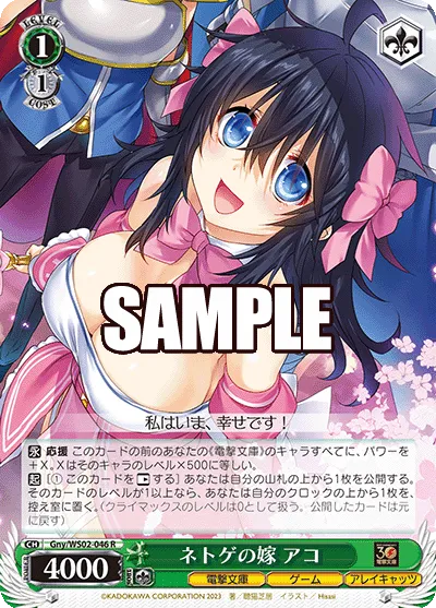 ネトゲの嫁 アコ