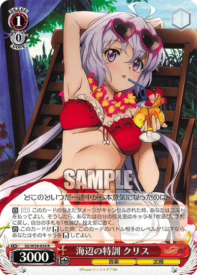 海辺の特訓 クリス