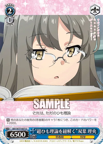 “超ひも理論を紐解く”双葉 理央