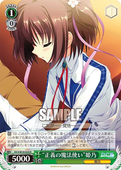 “正義の魔法使い”姫乃