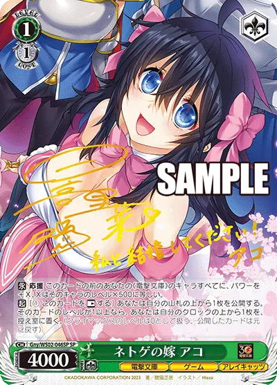 ネトゲの嫁 アコ