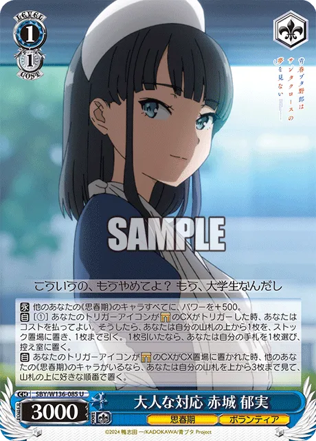 大人な対応 赤城 郁実
