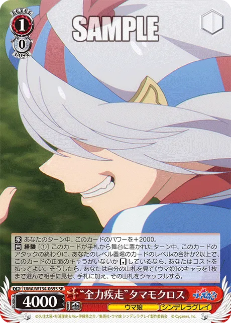 “全力疾走”タマモクロス