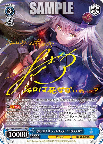 逆境に咲く華 シャルロッタ・スコポフスカヤ