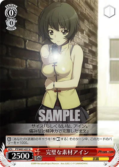 完璧な素材アイン