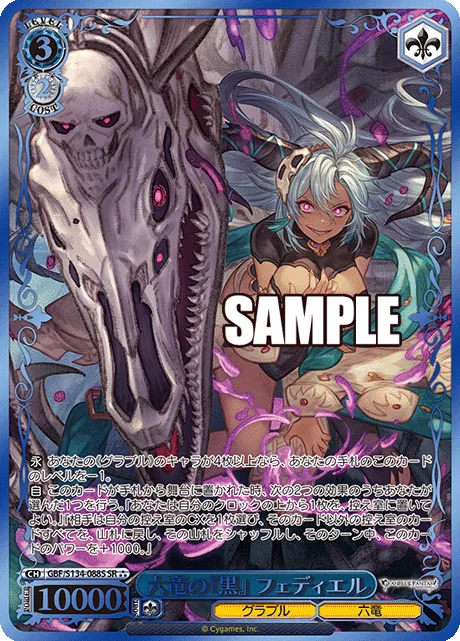 六竜の『黒』 フェディエル