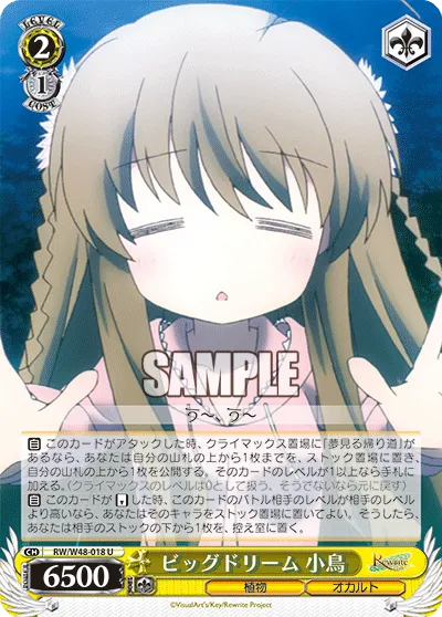 ビッグドリーム 小鳥