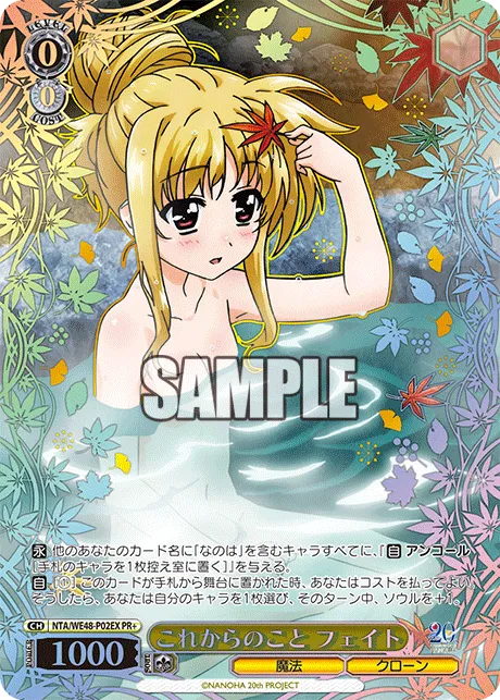 これからのこと フェイト