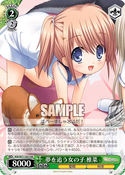 夢を追う女の子 椎菜
