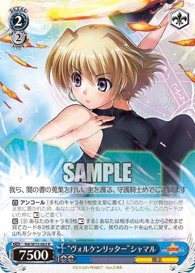“ヴォルケンリッター”シャマル