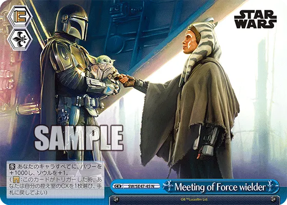 Meeting of Force wielder