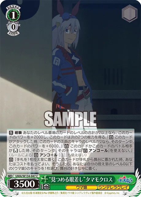 “見つめる眼差し”タマモクロス