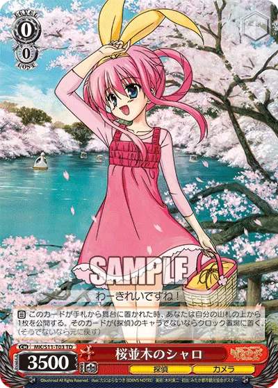 桜並木のシャロ