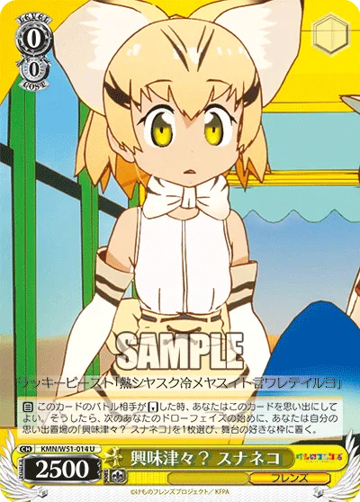 興味津々? スナネコ