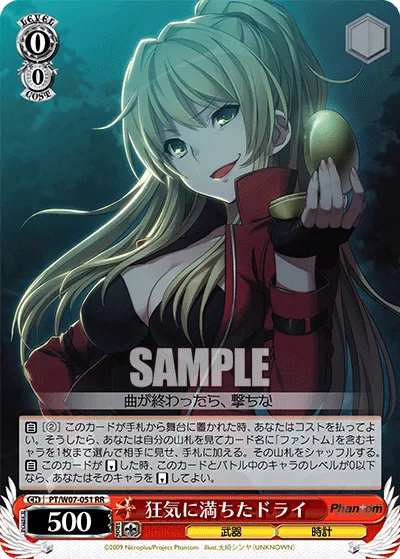 狂気に満ちたドライ