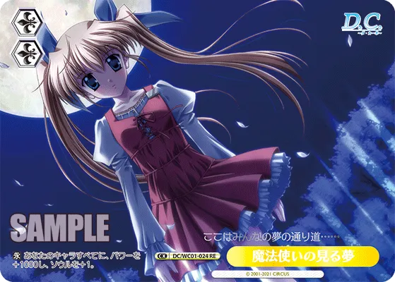 魔法使いの見る夢