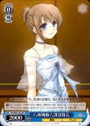八神機動六課部隊長