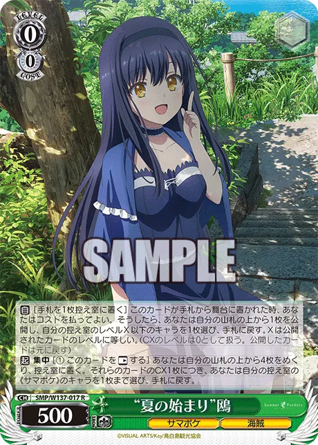 “夏の始まり”鴎