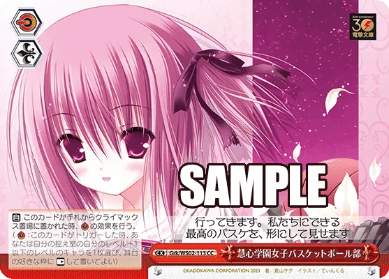 慧心学園女子バスケットボール部