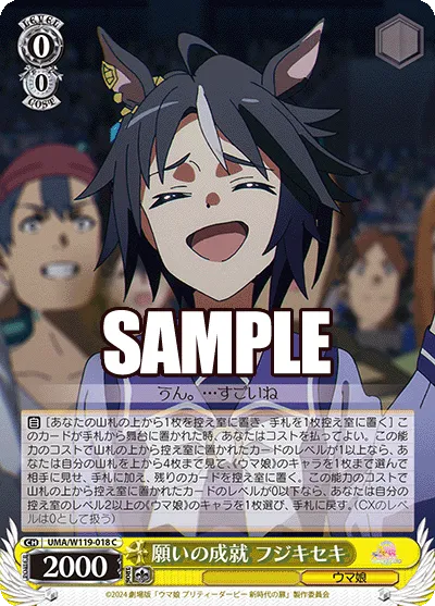 願いの成就 フジキセキ