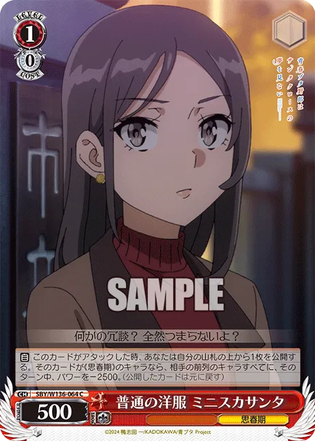 普通の洋服 ミニスカサンタ