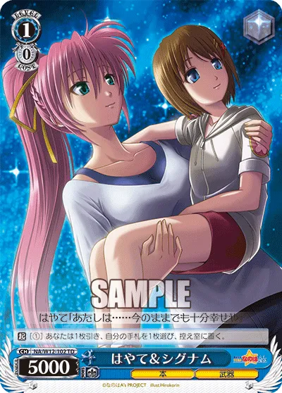 はやて＆シグナム