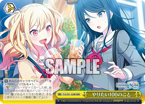 やりたい100のこと