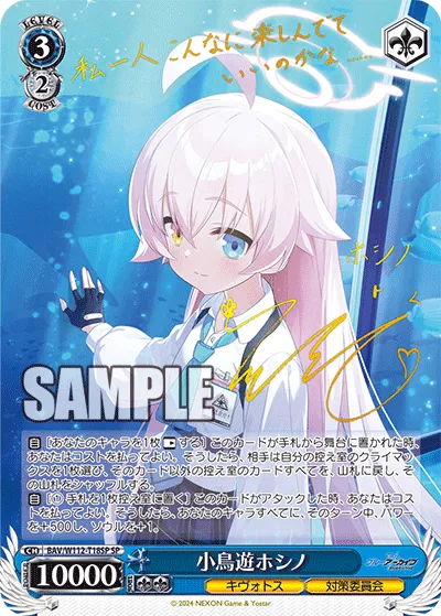 小鳥遊ホシノ