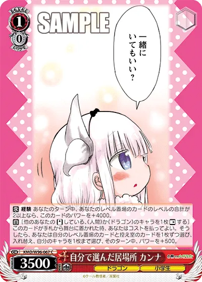 自分で選んだ居場所 カンナ