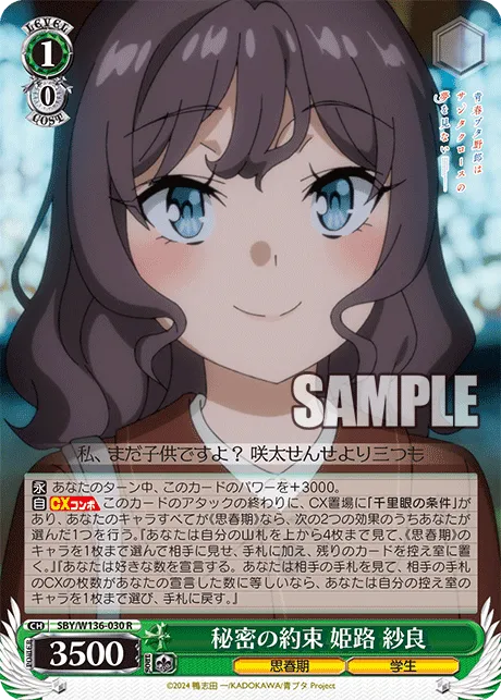 秘密の約束 姫路 紗良