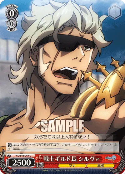 戦士ギルド長 シルヴァ
