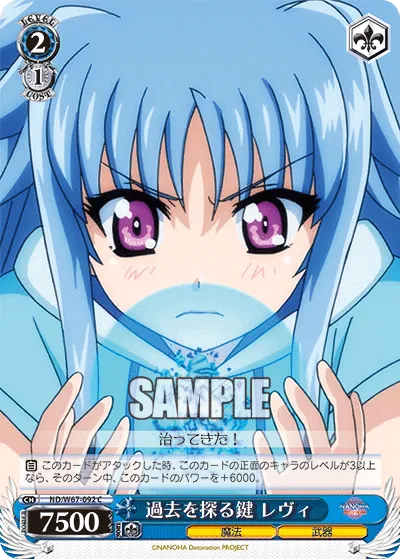 過去を探る鍵 レヴィ