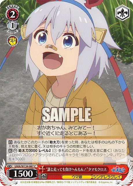 “誰と走っても負けへんもん！”タマモクロス