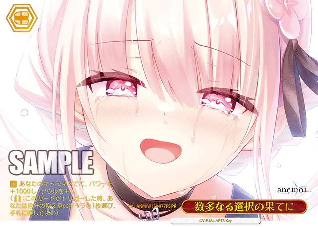 数多なる選択の果てに