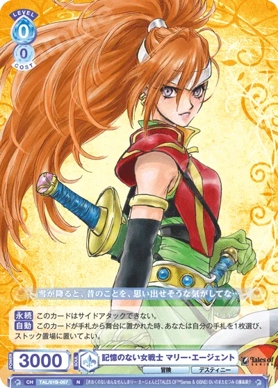 記憶のない女戦士 マリー・エージェント