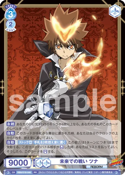 未来での戦い ツナ