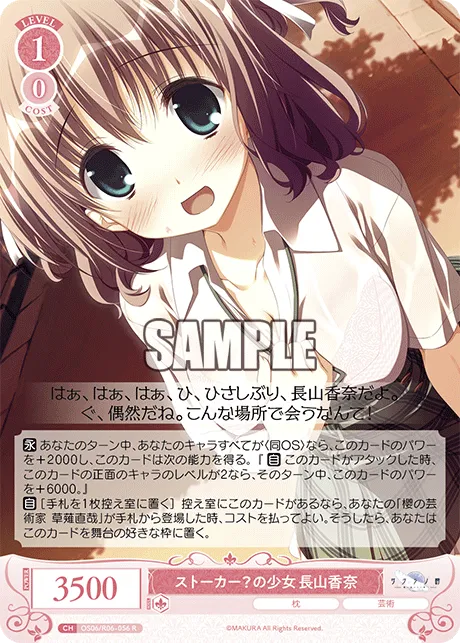 ストーカー？の少女 長山香奈