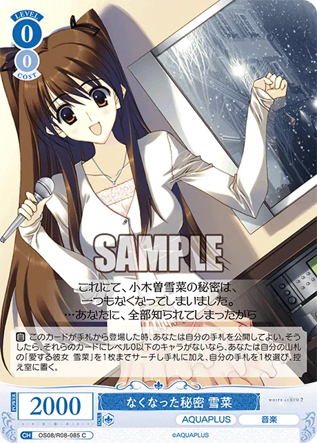 なくなった秘密 雪菜